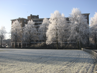 901056 Gezicht over het besneeuwde Noordse Park op de achtergevel van het flatgebouw Oudenoord 501-619 te Utrecht.N.B. ...